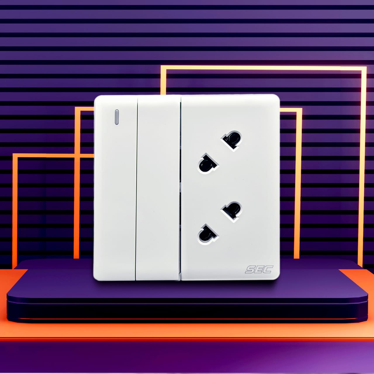2 Switch + 2 Socket
