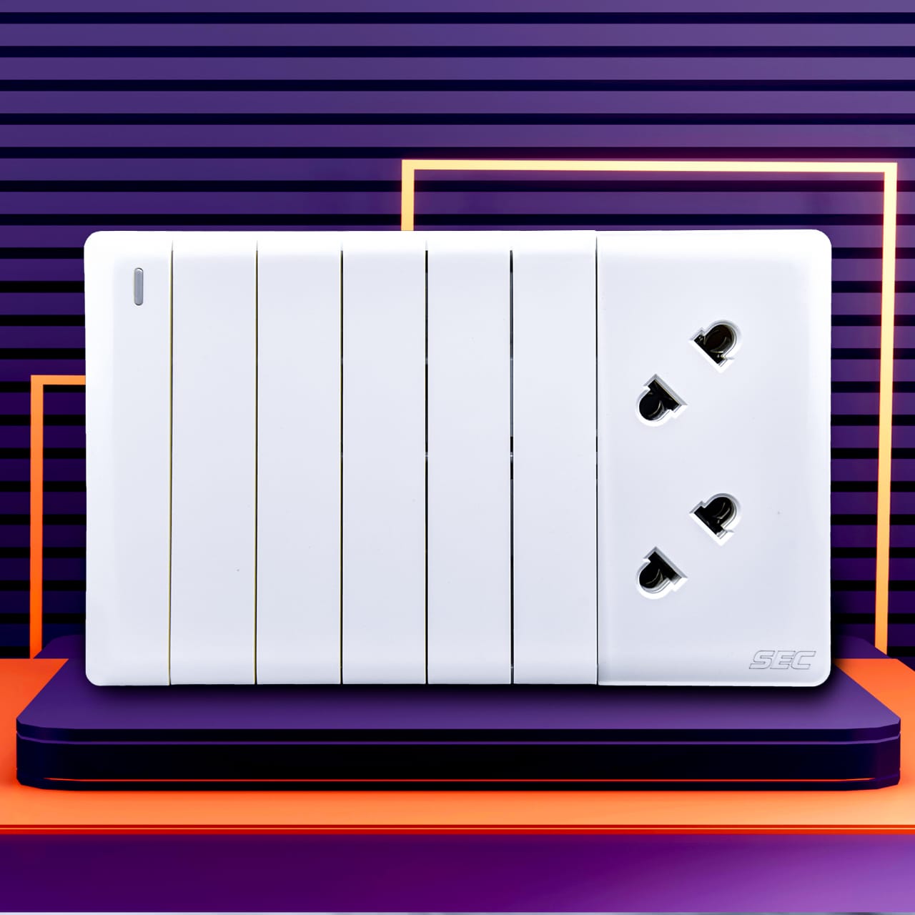 6 Switch + 2 Socket