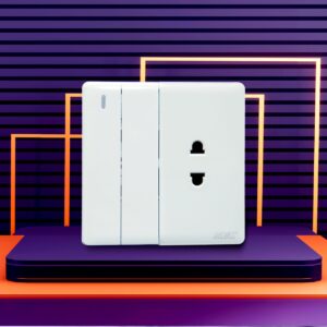2 Switch + 1 Socket