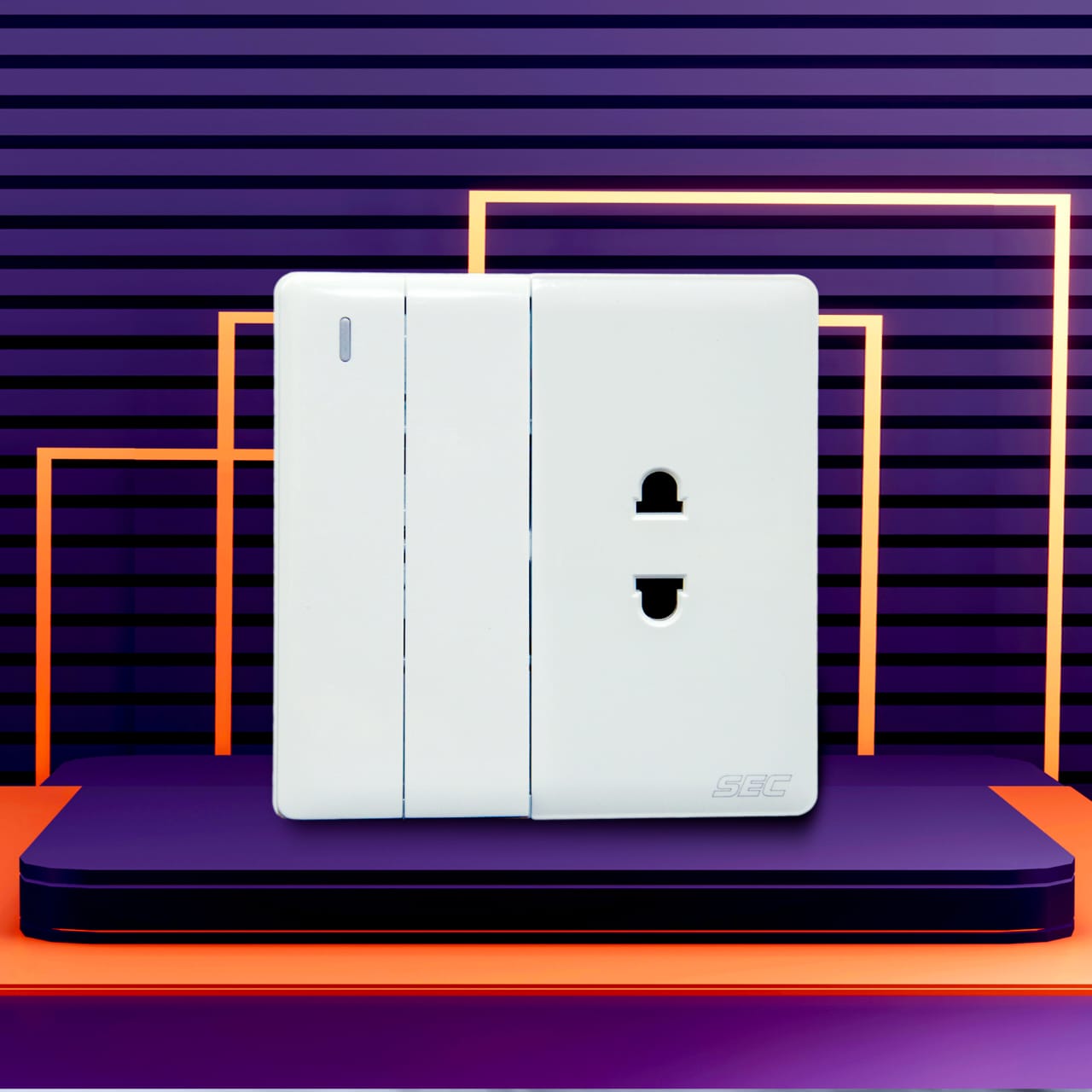 2 Switch + 1 Socket