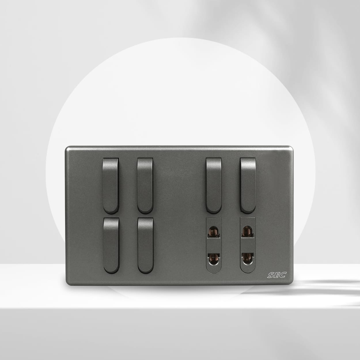 6 Switch + 2 Socket