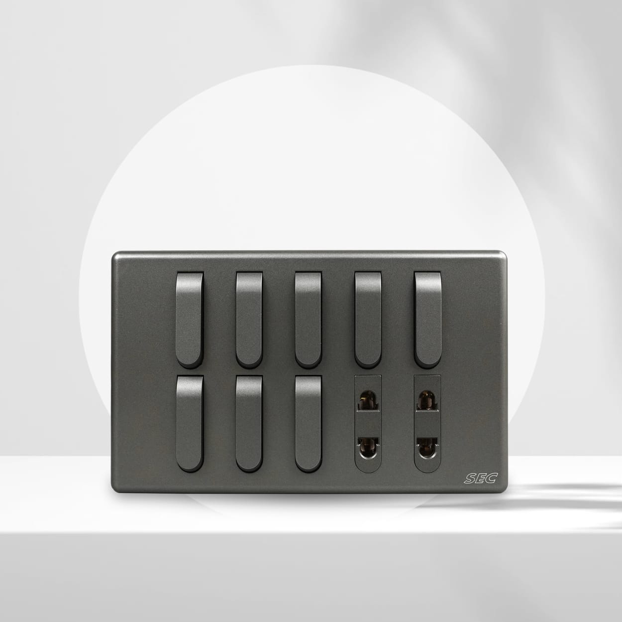 8 Switch + 2 Socket