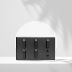 5 Switch + 1 Socket